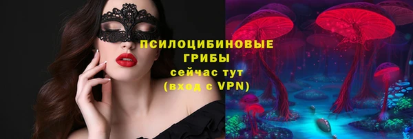 ешки Алзамай