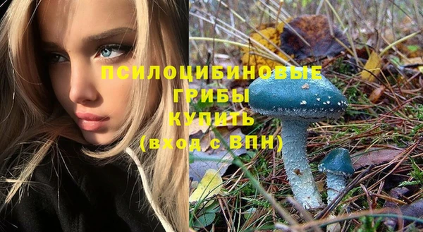 круглые Алексеевка