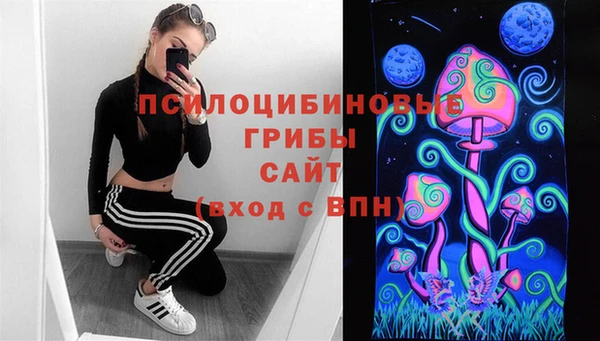 ешки Алзамай