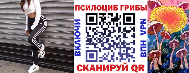Галлюциногенные грибы Psilocybine cubensis Мичуринск